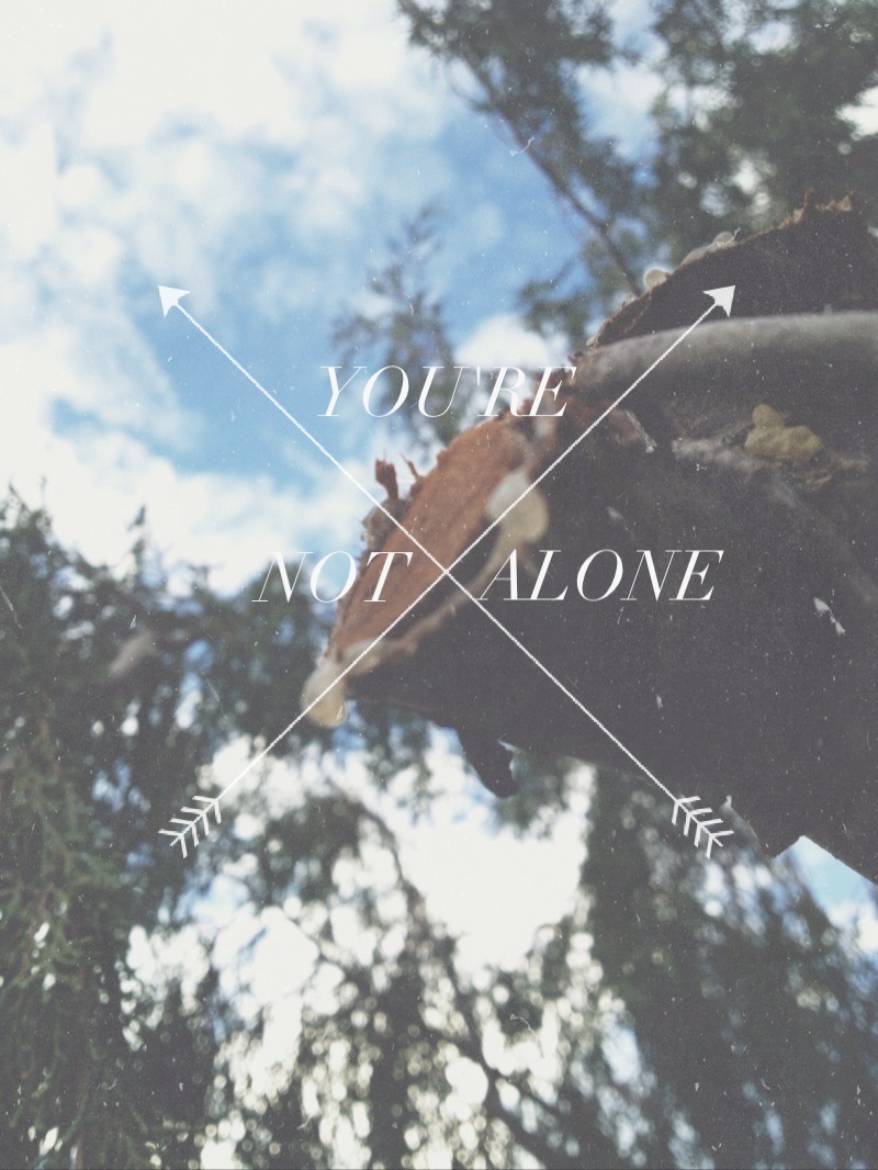 TheLoveNotebook
