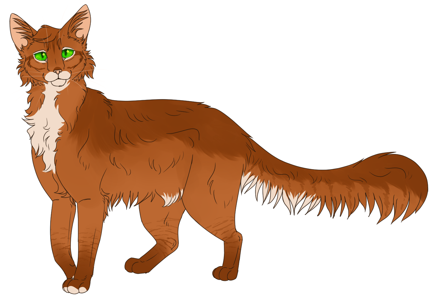 A digital drawing of Firestar from Radiant by Divinefeline28. He is a red somali cat with bright green eyes, and is stepping to the left while looking forward at the viewer with a calm expression.