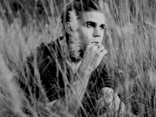 Paul Wesley - Page 3 Tumblr_ntrj7wcRzj1uclexio2_500