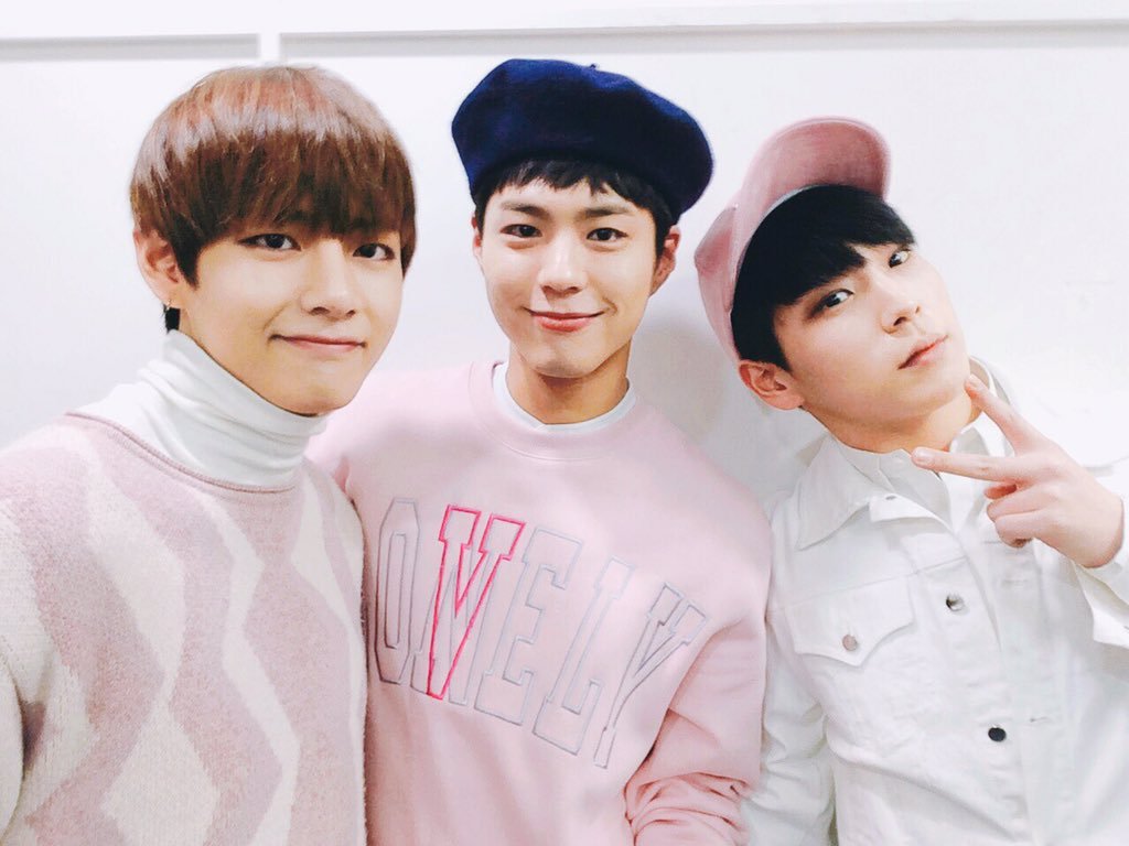 park bo gum and v