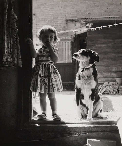 robert-hadley:Bert Hardy (1913-1995) - Child with a dog