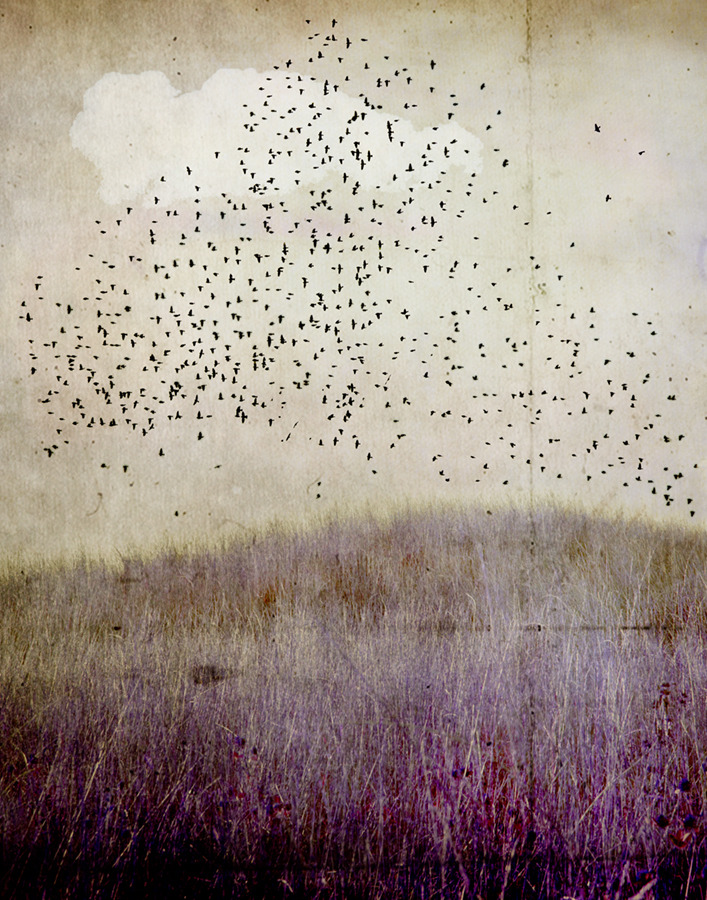 ryverfenix:  darksilenceinsuburbia:  Jamie Heiden  Nice.