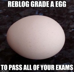 undertale-cat: gale-of-the-nomads: Eggcelent