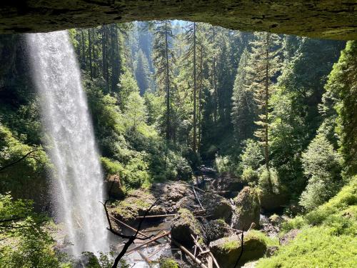 🔥 North Falls, Silver Falls SP, Oregon #naturezem#nature#photography#naturephotography#naturelovers#art#photo#photographer