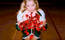 starletgalore:American Beauty. 