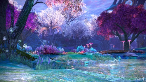 Tera online (beautiful day)