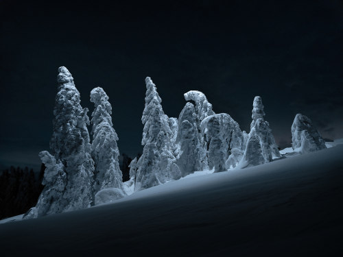 Snowscape in Germany (Tom Hegen) [OS] [1920x1440] | Source: reddit.com/r/earthpornadv