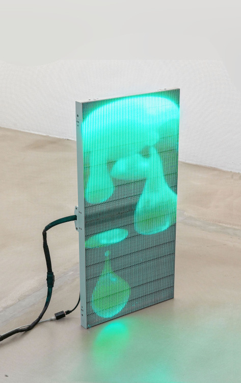 mentaltimetraveller:Susi GelbMelt 01, 2021 Transparent LED panel, video, loop 100