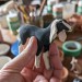 kness:A goat, evolution 
