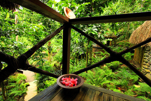 cherry-kiddo:    🍃🌸 Follow &amp;  send “coconut” for blograte🍃🌸