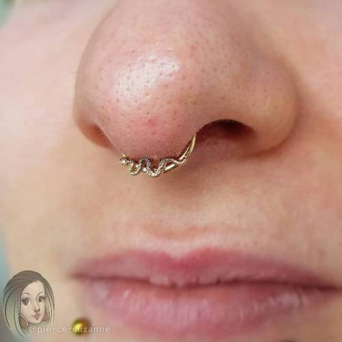 Little baby @bodygems gold sssnake ssslithered his way into this fresh ssseptum piercing I got to th