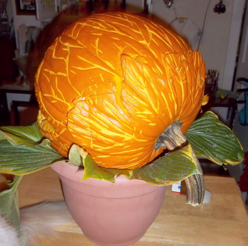 halloweenfunstuff:  crowbawt:  My pumpkin for the contest. It was kind of rushed because there was a time limit but w h a t e v e r. Audrey II the killer plant from Little Shop of Horrors, if you don’t recognize the reference. I didn’t know if they’re