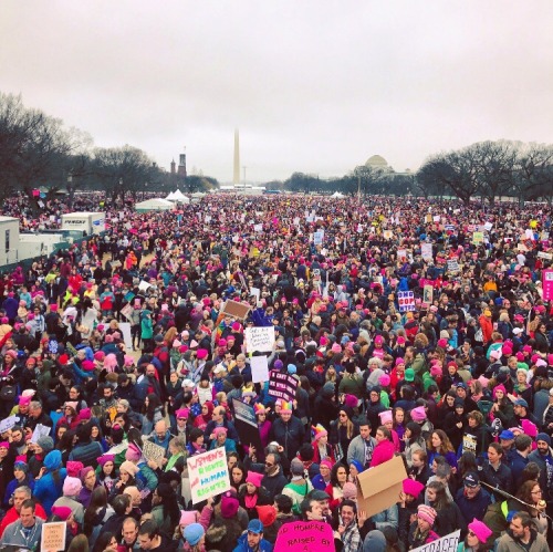 weavemama:WHEN THE WOMEN’S MARCH IS BETTER THAN THE INAUGURATION 