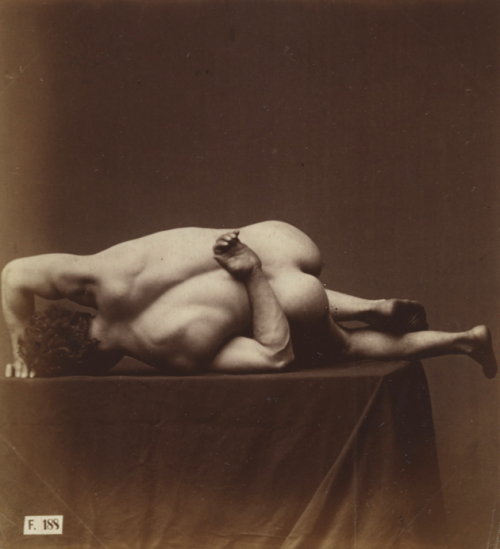 mypinholepinups: Hermann Heid, (Austria) c.1885, Albumen silver print. (MoMA)