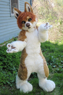 fursuitswag:suiter: http://www.furaffinity.net/user/miniyoru/