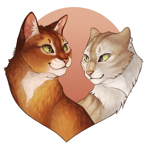 climbdraws:“Fireheart, every cat in the clan can see that Sandstorm is very very fond of you!”