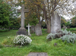 haxanbroker: Under the Trees. Margravine Cemetery, May 2015,