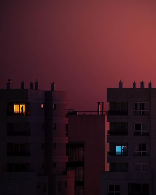 nevver:Hurry the dawn, Ana Julia Gobbi