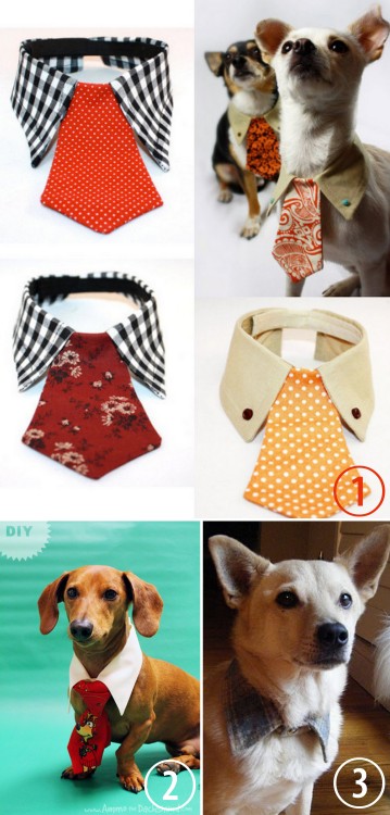 DIY or Buy: Dog Tie and Collar. For more pet DIY gift ideas go here: truebluemeandyou.tumblr.com/tag