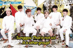 Yibo Please