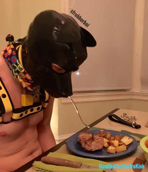 sfrubberboi:  Puppies get very hungry after playtime. Although a bit difficult to eat with puppy paws! 🐾🐶 Play with @kinkyxpup and handled by @castrokink. 