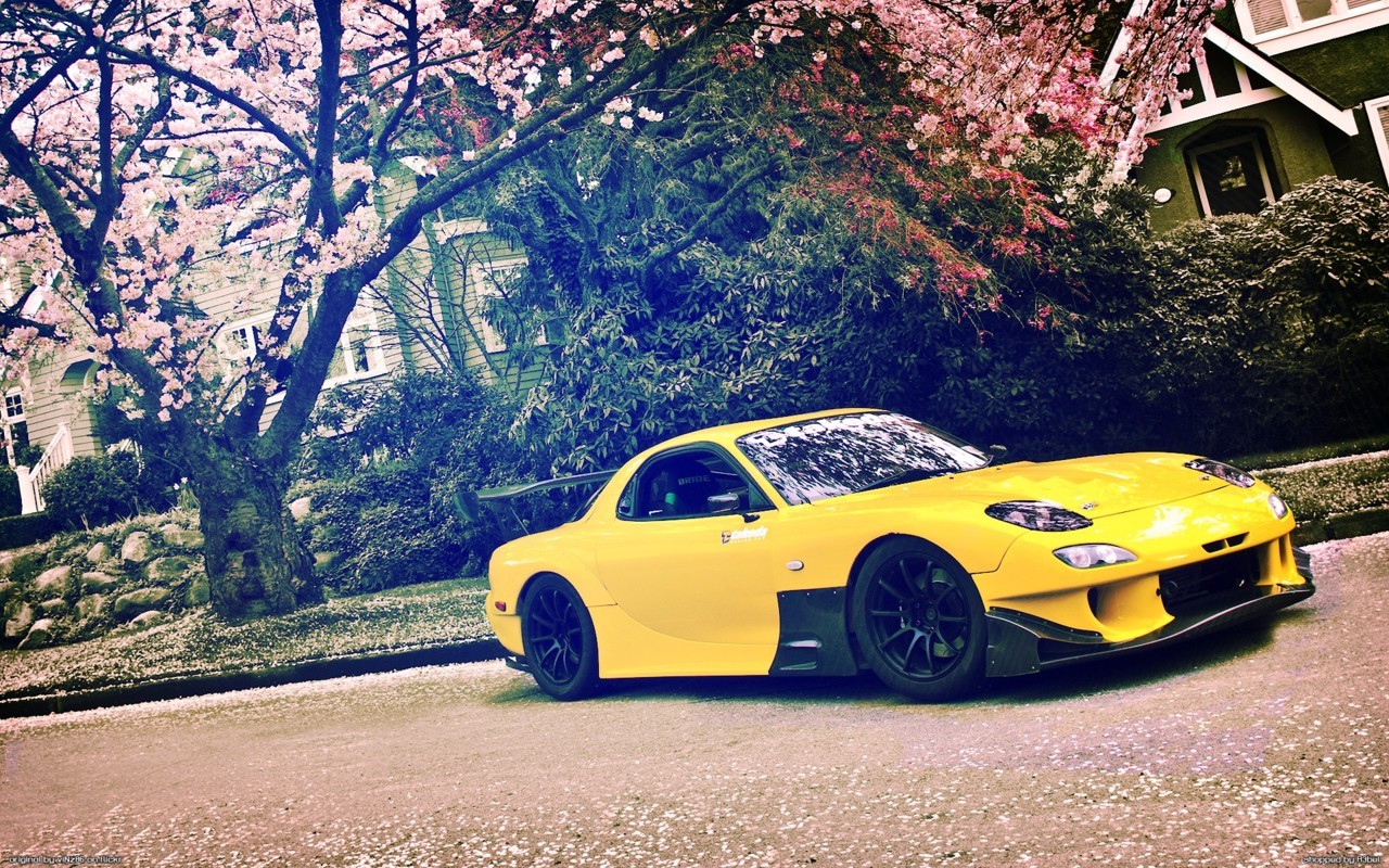 girls-n-cars:   &gt; &gt; girls-n-cars &lt; &lt;  