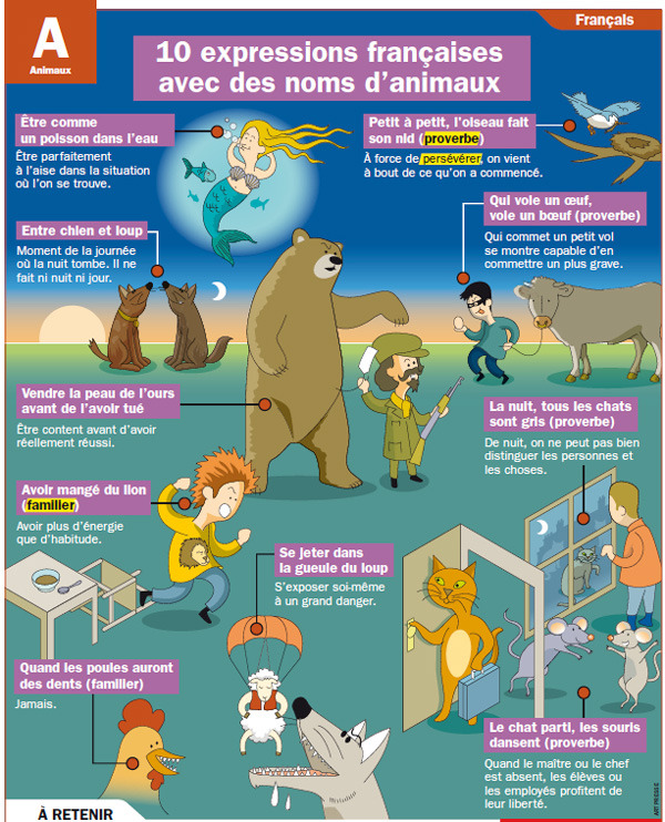 Frenchbook 10 Expressions Francaises Avec Des Noms D Animaux Frenchbook 10 Expressions Francaises Avec Des Noms D Animaux