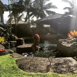 tainowoe:  nomediocre:  Rihanna in Hawaii