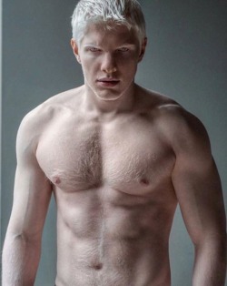 maximien:  Albino