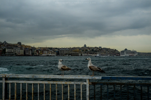 Istanbul, Turkey #9photo by Kirienko Roman(romanophoto.tumblr.com)