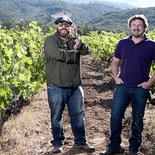 🍷🐻 THURSDAY NIGHT TASTING 6-8 PM! BEDROCK WINE COMPANY OF CALIFORNIA Quiet Revolutionary Morgan-Twain
