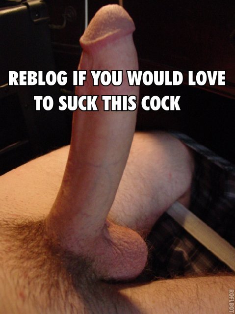 danielallcock: iheartfatcocks:  gangsteral:  This is like the most obvious reblog ever.  Hell, I tried to suck it thru the screen when I first saw it.  ❤  I WOULD SUCK THIS COCK OVER AND OVER AND OVER AGAIN.   Sexy circ dick.