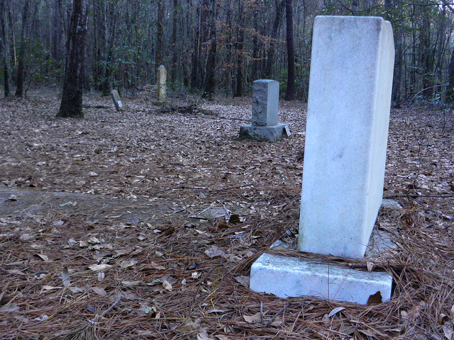 intracoastal-wanderings:  The African American Cemetery at Drayton HallCharleston,
