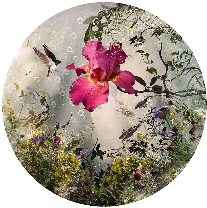 ohthentic:  strangelfreak:Ysbel LeMay‘s collage composites Oh