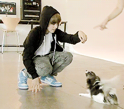 theraquelbieber.tumblr.com/post/100630063815/