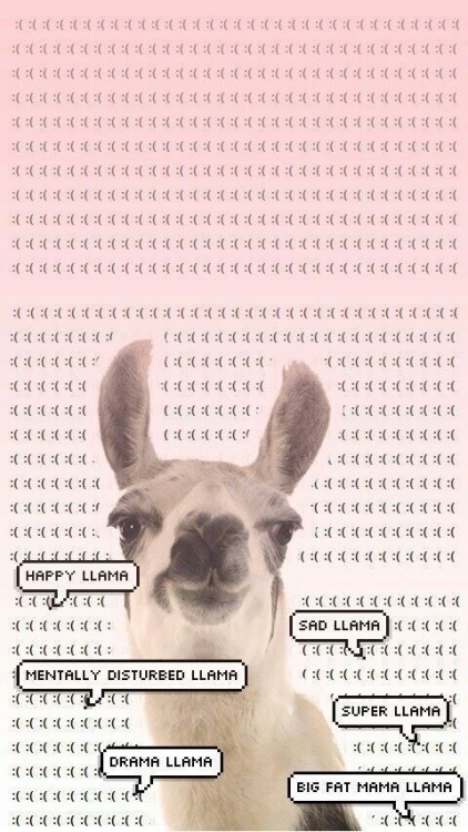 •llamas• •have a wonderful day• •credits• •1- whenwatermeetspaint