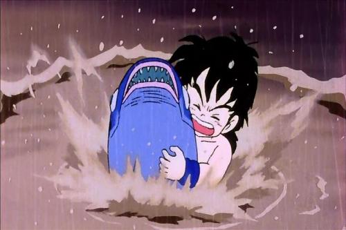 thesanityclause: janembascandyhell: This whole image set sums up why I loved Gohan