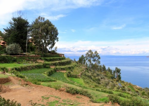 Lake TiticacaOur first stop here was this huge lake in between Bolivia and Peru and we could definit