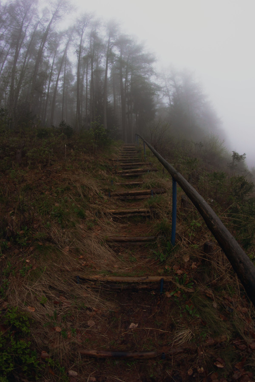 plasmatics:  Love the atmosphere [via/more] By Andrey Gabov 