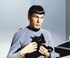 thefingerfuckingfemalefury:  CATS ARE TOTALLY BETTER :D 