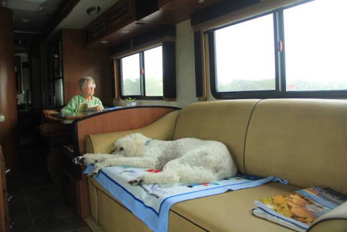 mymodernmet:  90-Year-Old Woman Decides to Go on Cross-Country Road Trip After Cancer Diagnosis