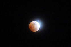 nevver:  Tonight, Total Eclipse of the Moon 