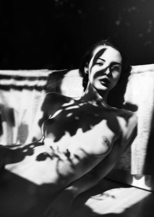 Miss Velvet