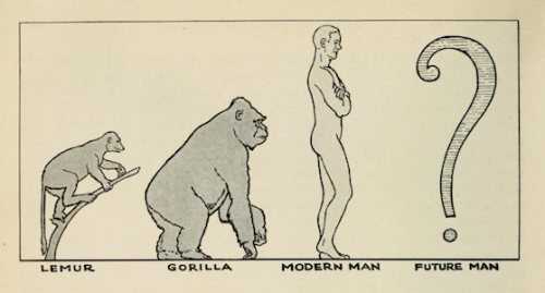 nemfrog: “Man-500,000 years from now.” Natural History. 1933.  Seems legit. I wonder whether we&rsqu