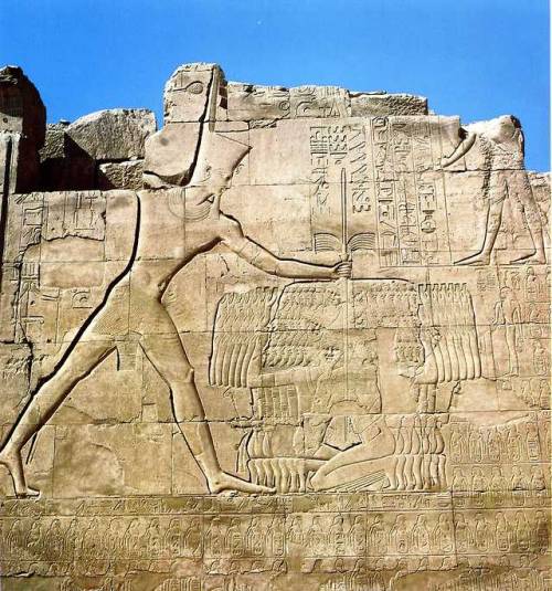 egypt-museum: Thutmose III smiting his enemies Relief depicting king Thutmose III smiting his enemie