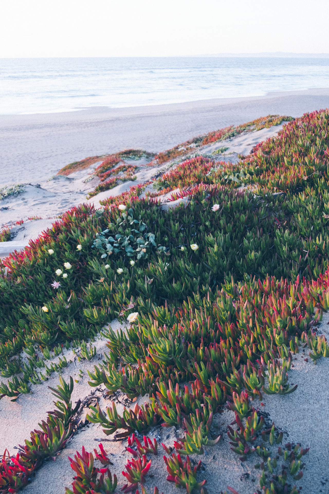 michaellund:  Beauty is Everywhere Instagram // Website  