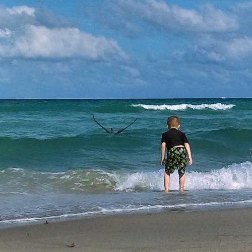 Things in flight. #beach #Florida #floridalife #beachbums (at Dania Beach Pier)