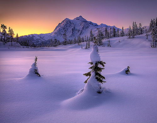 djferreira224:Mt Shukasan From Picture Lake In Winter by kevin mcneal on Flickr.North Cascades Natio