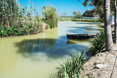 useless-catalanfacts:Delta de l'Ebre, Catalonia.Photos by Ernest Vives on Flickr