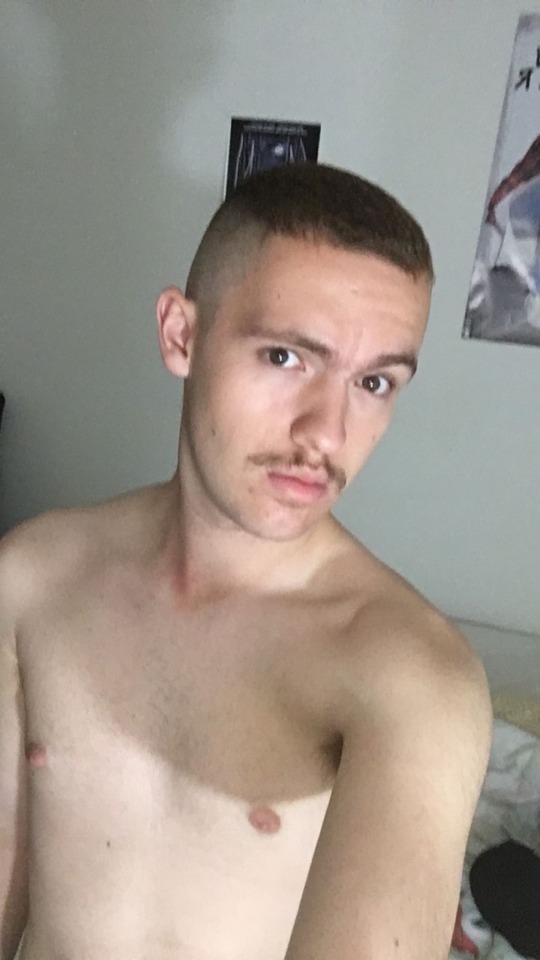 thefeistygay - Tay